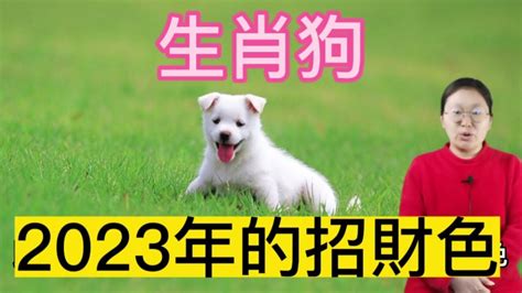 狗 幸運色|【屬狗 幸運色】狗年的幸運色秘密：2024年屬狗好運爆棚指南！